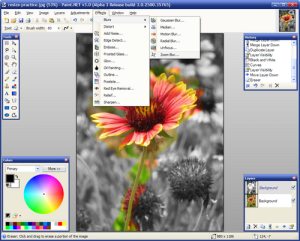 Paint.NET.3.30.3019.RC1 - отличный графический редактор